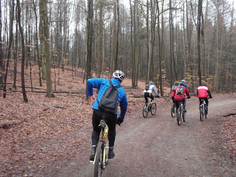 Waldtour 056